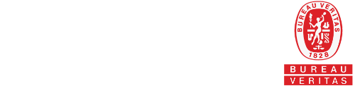 ALU300